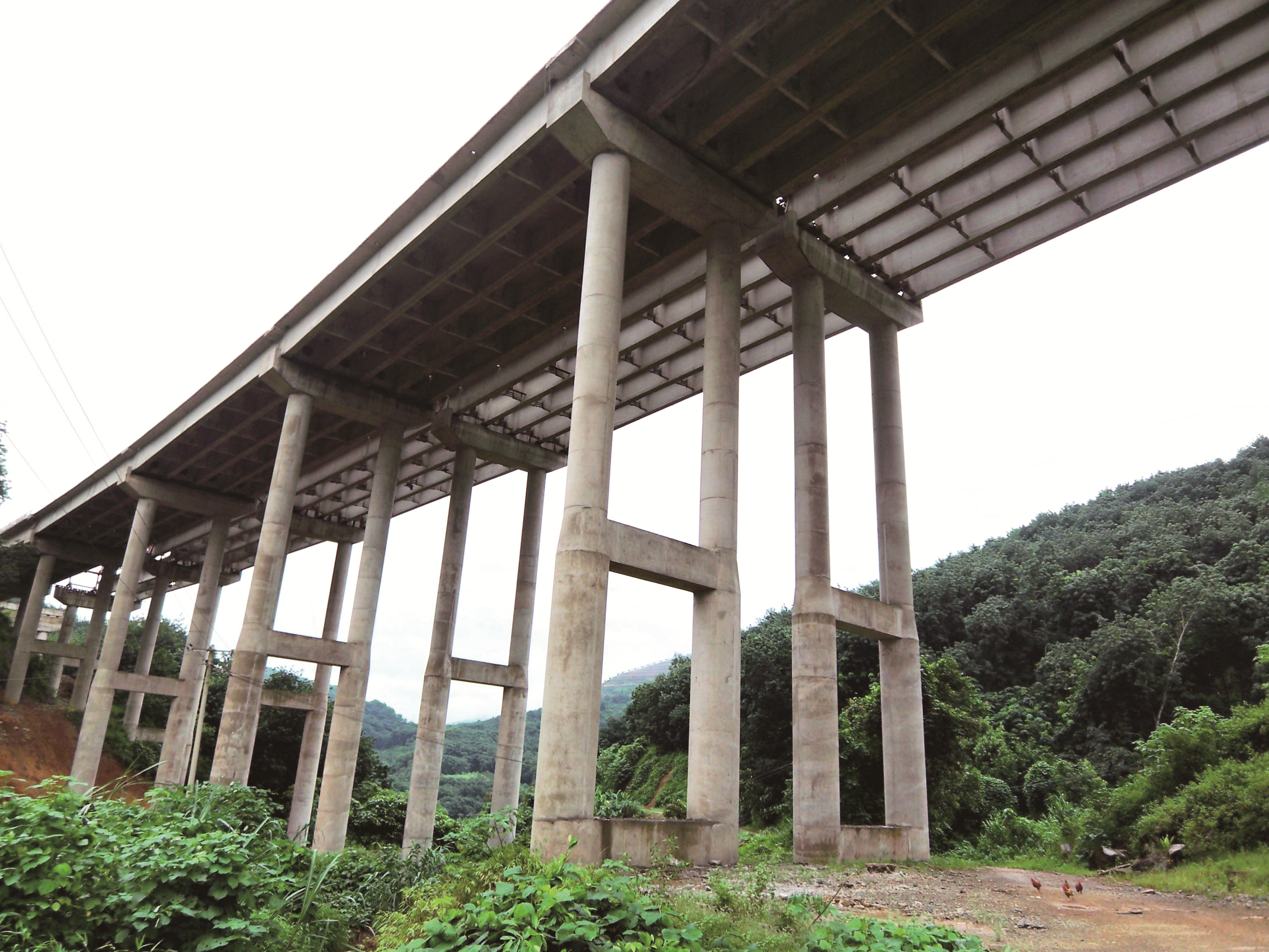 建設(shè)中的廣東?；⒏咚俟?