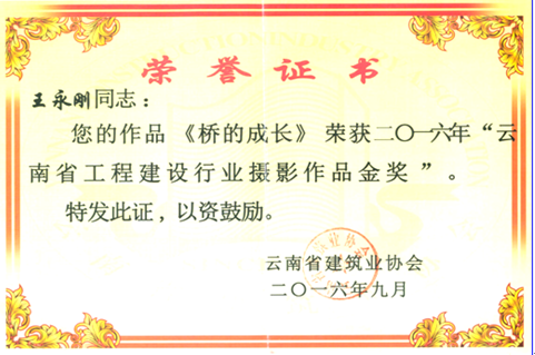 協(xié)會(huì)表彰3.png